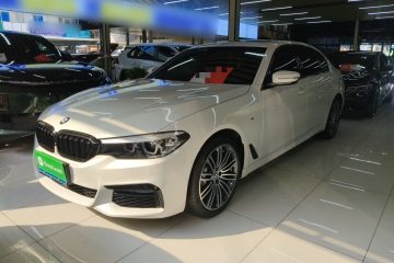 Used BMW 5 Series 2019 530Li Leading Model M Sport Package