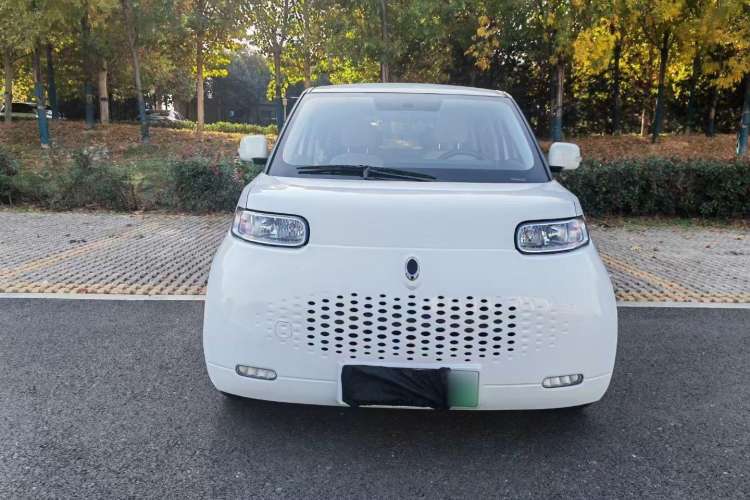 Used ORA White Cat 2020 305 km Luxury Version
