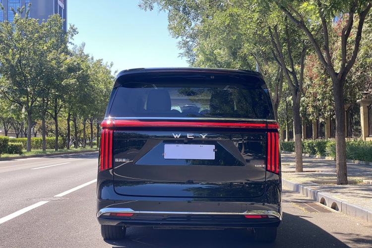 Used Wey Gaoshan 2023 Four-Wheel-Drive Executive Extended Version
