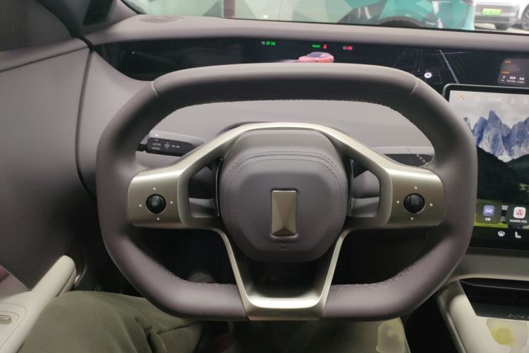 Used  06 2025 Pro Range-Extended Edition
