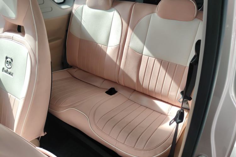 Used  Panda 2023 Panda Mini 200km Endurance Bear
