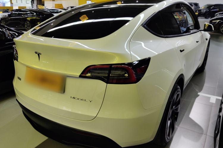 Used Tesla Model Y 2021 Standard Range Rear-Wheel Drive Version
