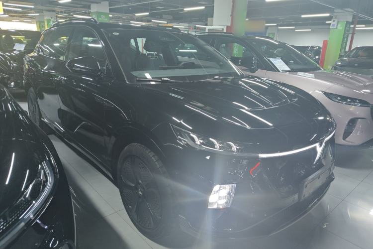 Used VOYAH COURAGE 2024 Four-Wheel Drive Global Edition