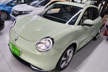 Used ORA Good Cat 2022 Morandi Edition 400km Standard Range Premium Version Lithium Iron Phosphate