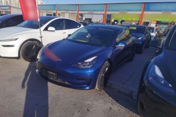 Used Tesla Model 3 2021 Revised Version Standard Range Rear-Wheel Drive Upgraded Edition 3D1