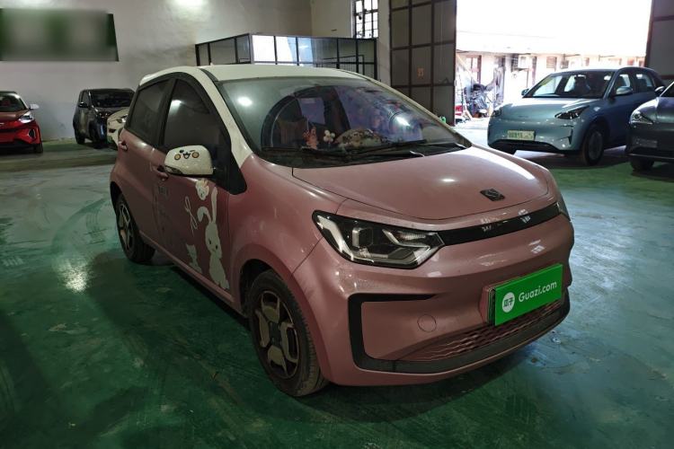 Used SOL E10X 2022 Flower Fairy Style Baby's Breath