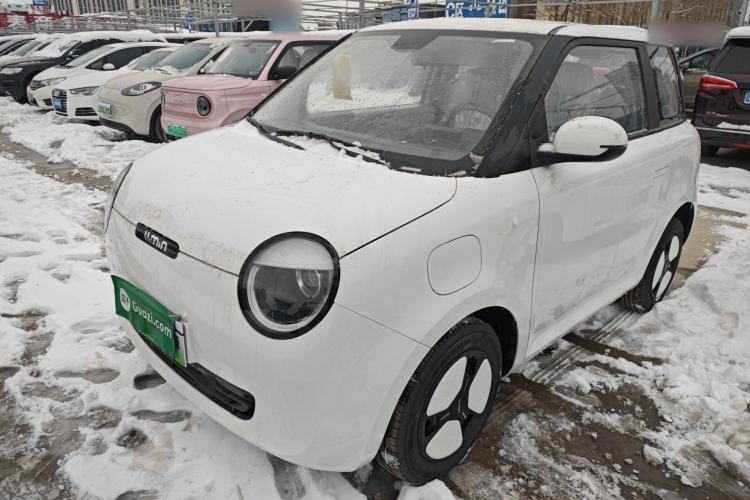Used Qiyuan Lumin 2025 205 km Xiangqin Version