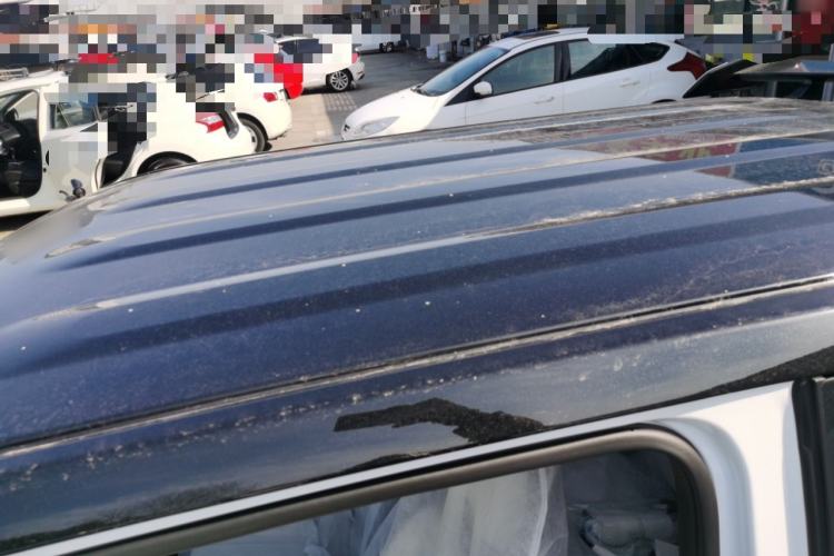 Used  Panda 2025 210km Panda Kart