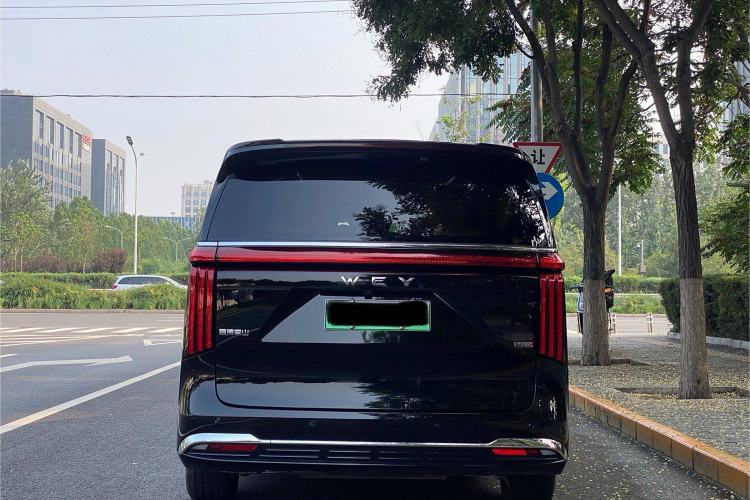 Used Wey Gaoshan 2023 Four-Wheel-Drive Executive Extended Version
