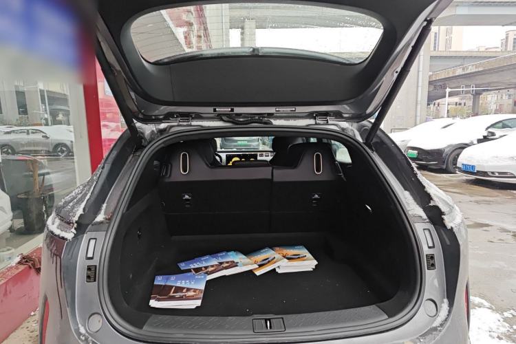 Used  07 2024 Max Extended-Range Edition