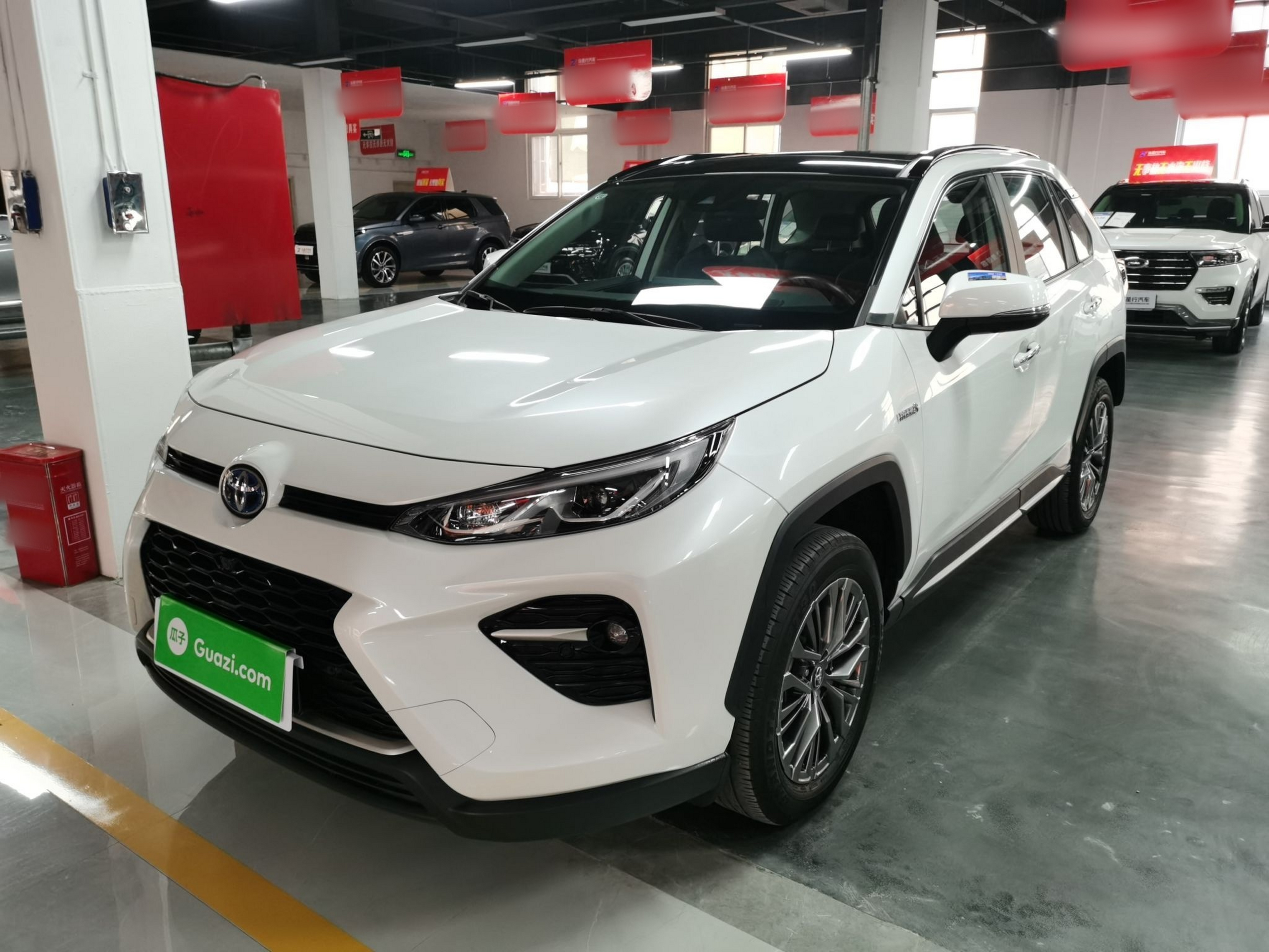 تحت مقدمة السيارة