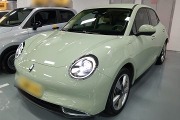 Used ORA Good Cat 2023 401 km Standard Range Luxury Version Lithium Iron Phosphate