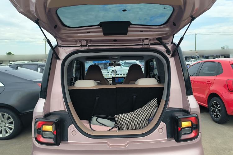 Used  Panda 2023 Panda Mini 200km Endurance Bear