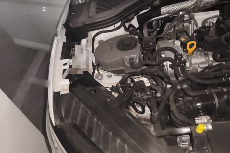 Used Volkswagen Sagitar 2023 300TSI DSG Excellence Edition
