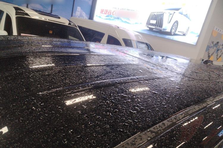 Used Hongqi HQ9 2024 2.0T Business Edition