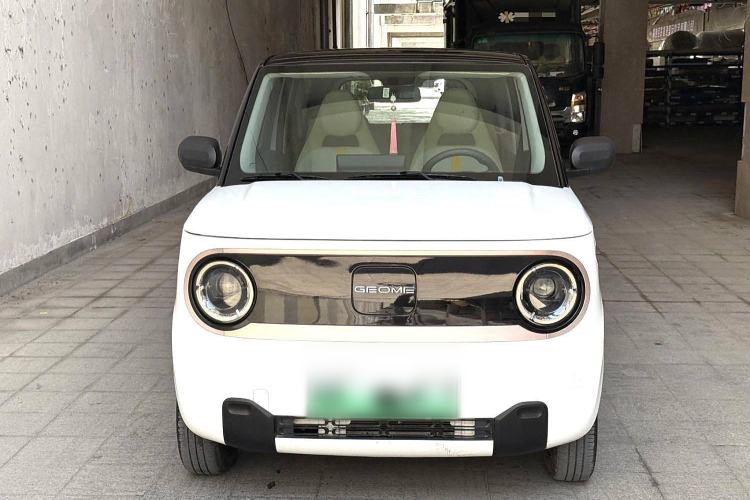 Used  Panda 2023 Panda Mini 200km Dynamic Bear
