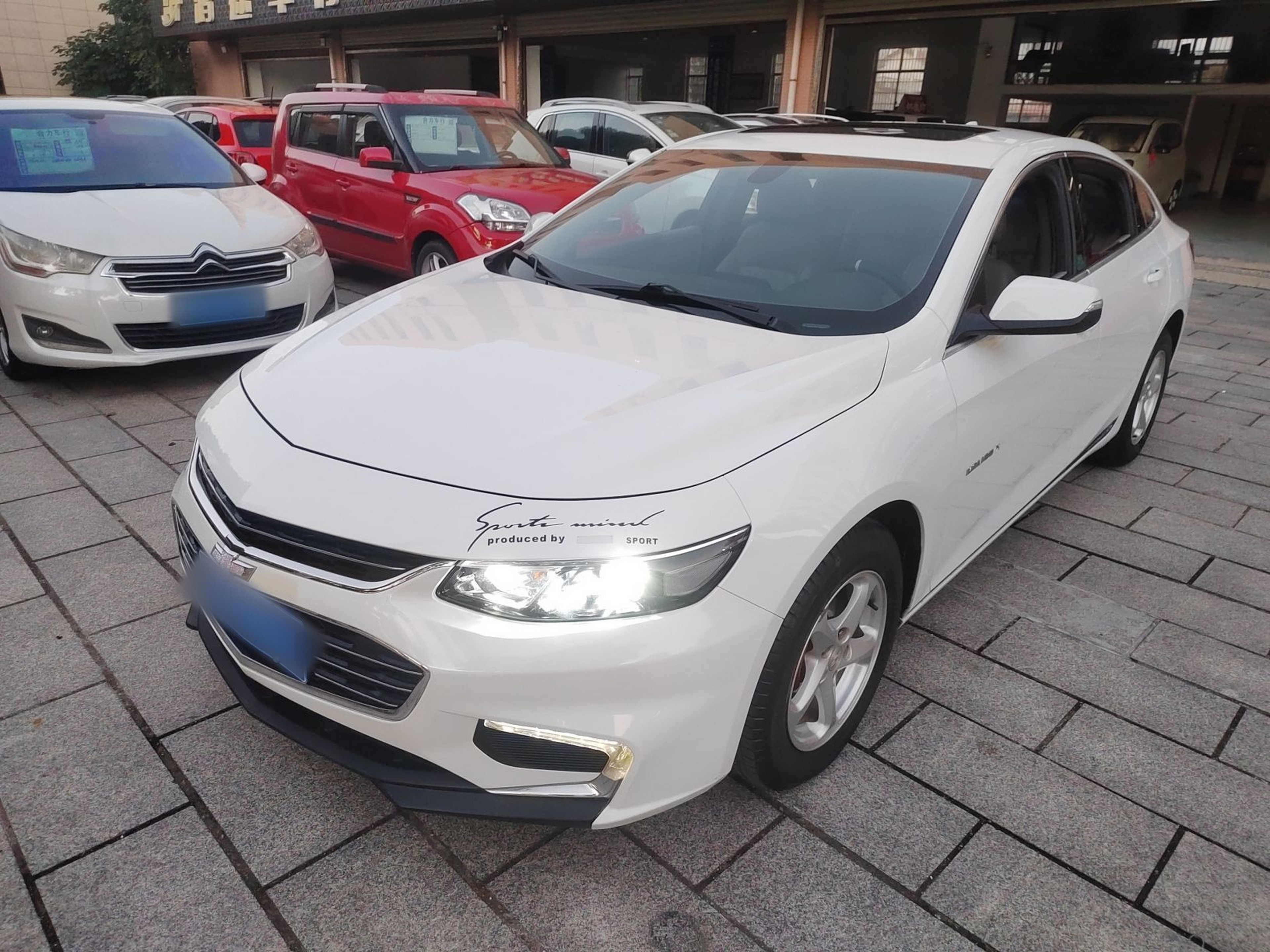 تحت مقدمة السيارة