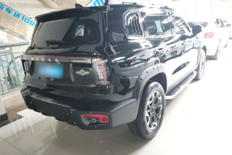 Used Haval DARGO 2024 2.0T DCT Chinese Rural Dog Edition