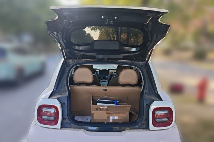 Used ORA Black Cat 2021 351 km Luxury Version
