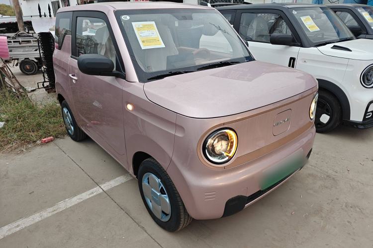 Used  Panda 2024 Panda Mini 200km Endurance Bear

