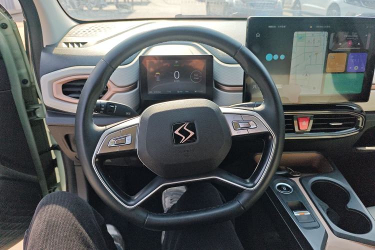 Used SOL E10X 2022 Flower Fairy Design Four-Leaf Clover