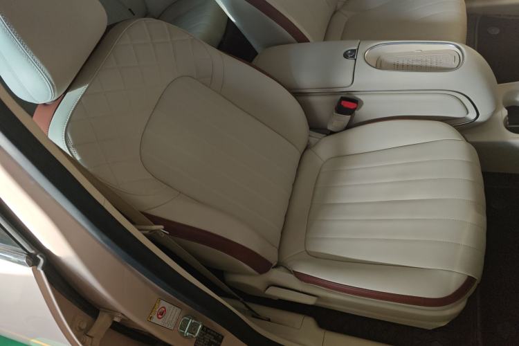 Used ORA Good Cat 2023 401 km Standard Range Luxury Version Lithium Iron Phosphate
