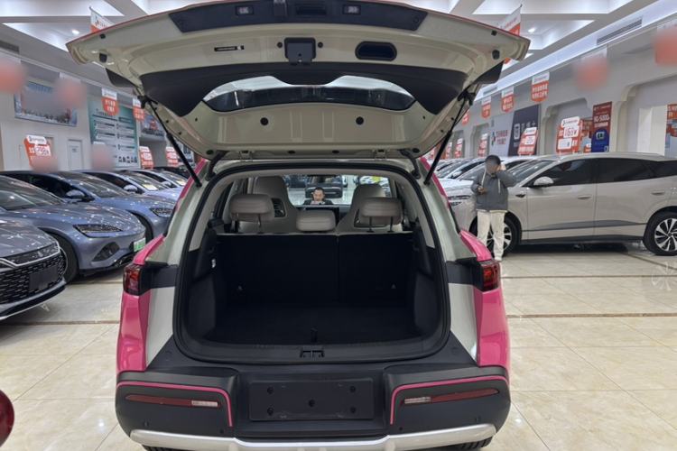 Used BYD Yuan UP 2025 Intelligent Driving Version 401 km Leading Edition