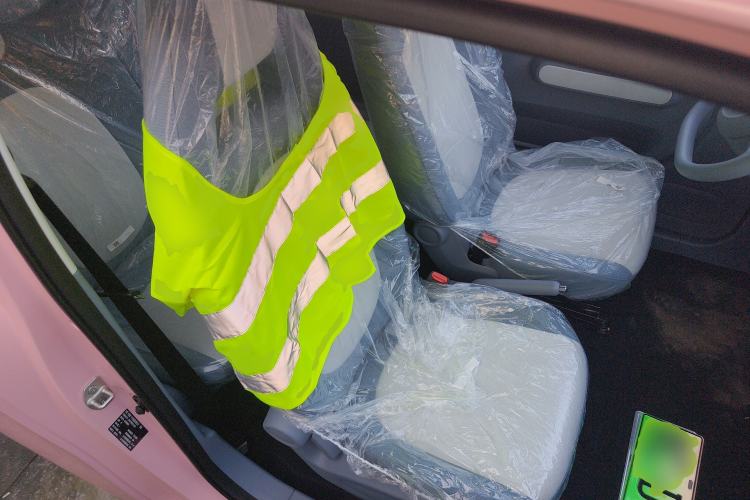 Used Bestune Pony 2025 222km Range Elegant Horse
