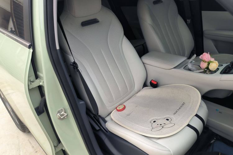 Used  Geome 2025 UP 410km Exploration+ Edition