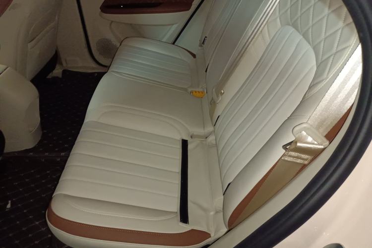 Used ORA Good Cat 2023 401 km Standard Range Luxury Version Lithium Iron Phosphate
