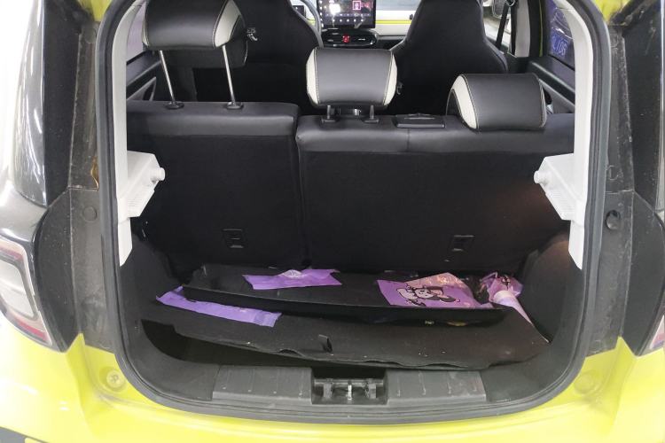 Used SOL E10X 2022 Flower Fairy Style Baby's Breath
