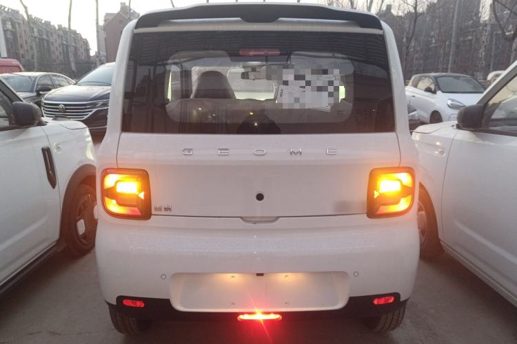 Used  Panda 2025 210 km – Yuanqi Bear
