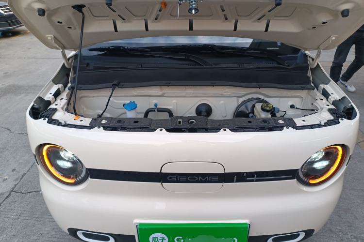 Used  Panda 2025 210 km – Yuanqi Bear
