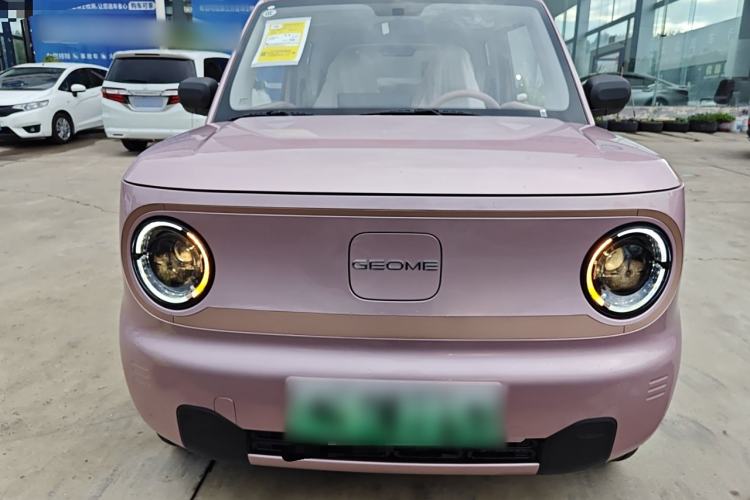 Used  Panda 2024 Panda Mini 200km Endurance Bear
