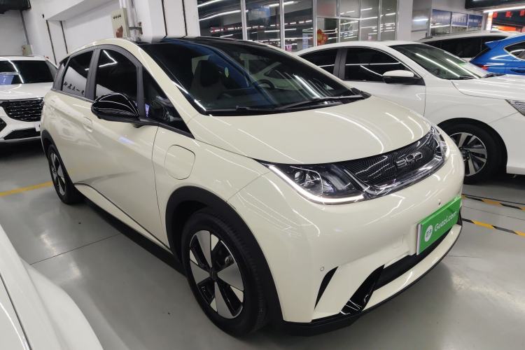 Used BYD Dolphin 2023 420 km Fashion Edition
