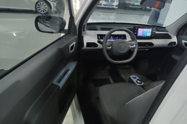 Used  Panda 2024 Panda Mini 200km Endurance Bear
