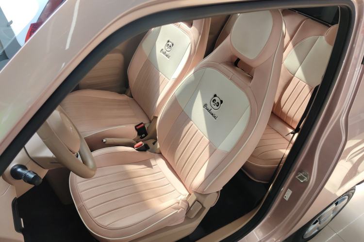 Used  Panda 2023 Panda Mini 200km Endurance Bear
