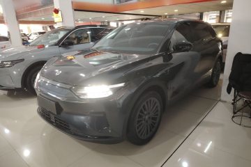 Used Leapmotor C11 2023 Pure Electric 500 Comfort Edition