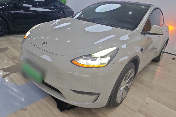Used Tesla Model Y 2021 Standard Range Rear-Wheel Drive Version