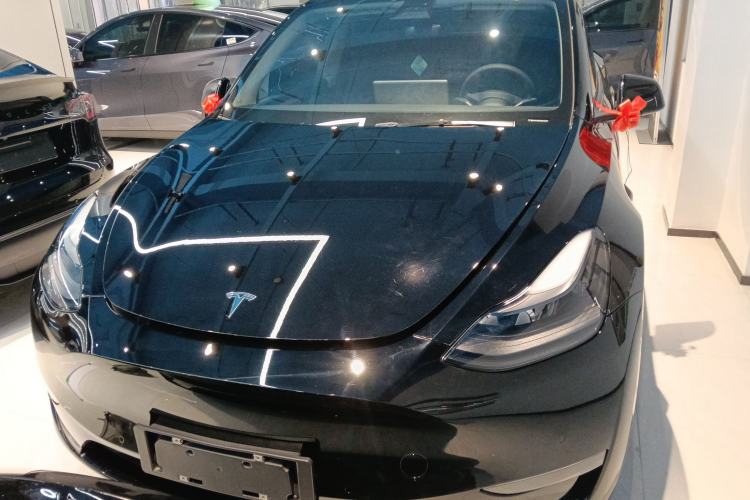 Used Tesla Model Y 2021 Long-Range All-Wheel-Drive Version
