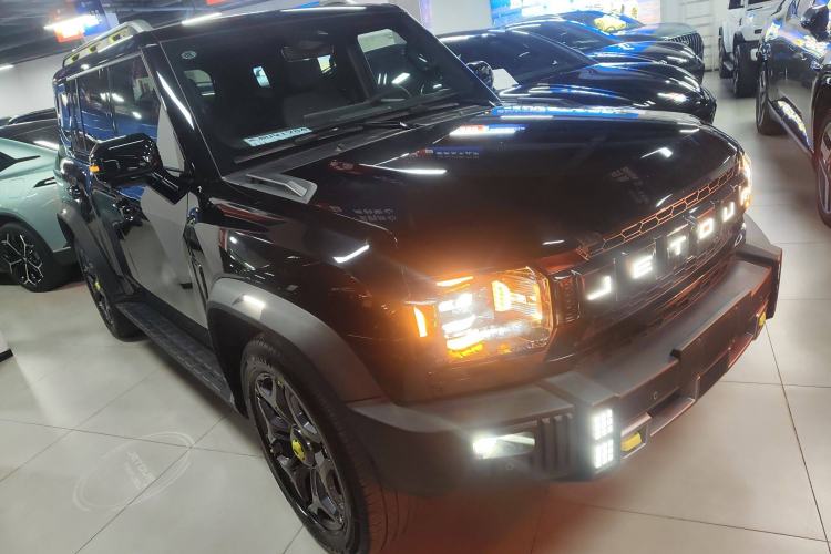 Used  Shanhai T2 2024 C-DM 208KM Mountain & Wilderness Edition
