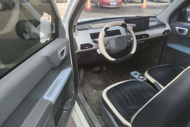 Used  Panda 2024 Panda Mini 200km Endurance Bear
