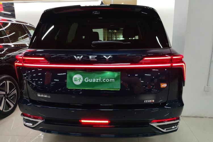 Used Wey Lanshan 2025 Four-Wheel Drive Max
