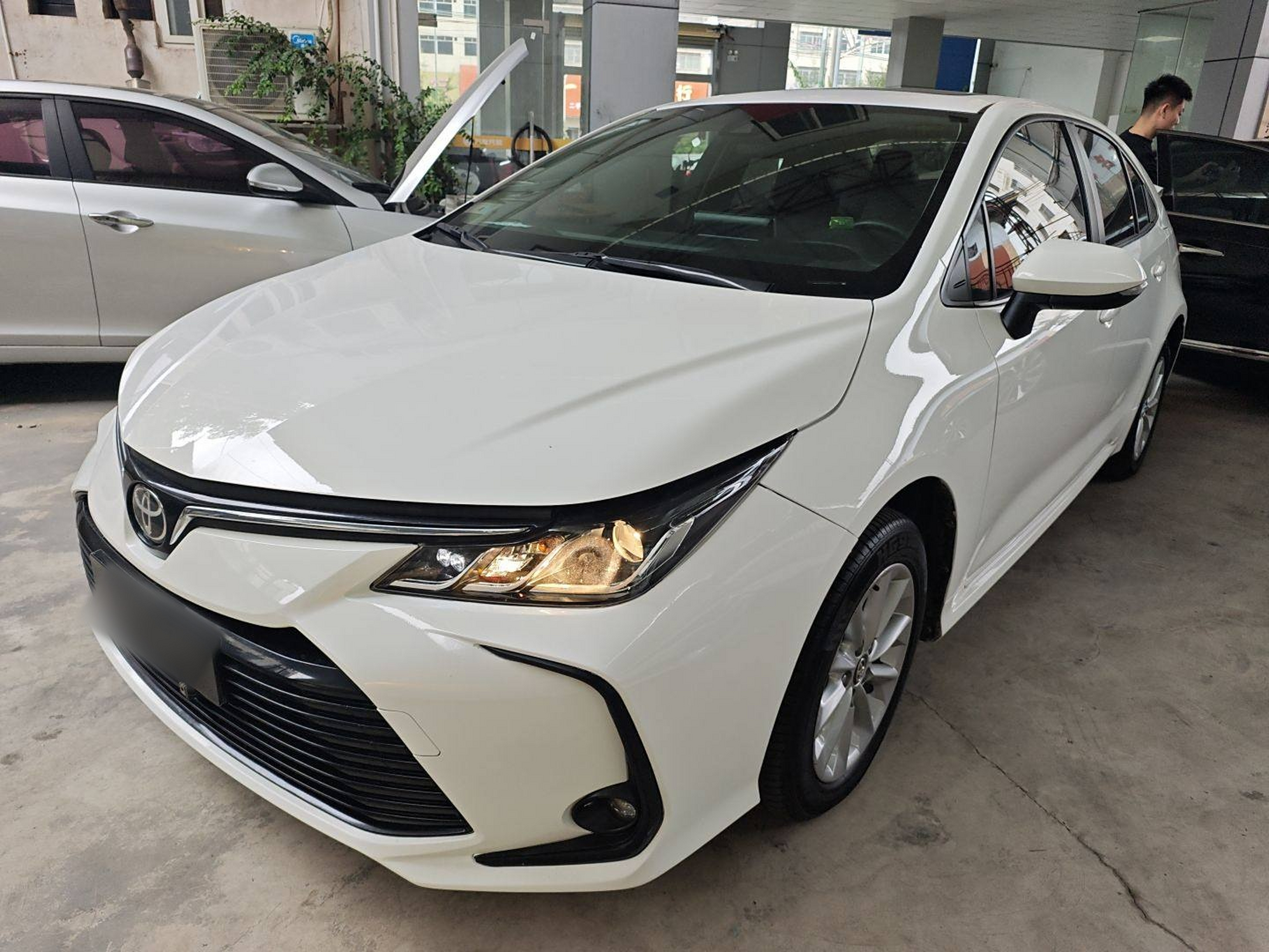 تحت مقدمة السيارة