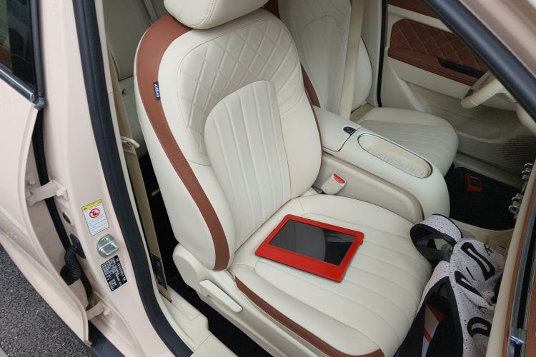 Used ORA Good Cat 2023 401 km Standard Range Luxury Version Lithium Iron Phosphate
