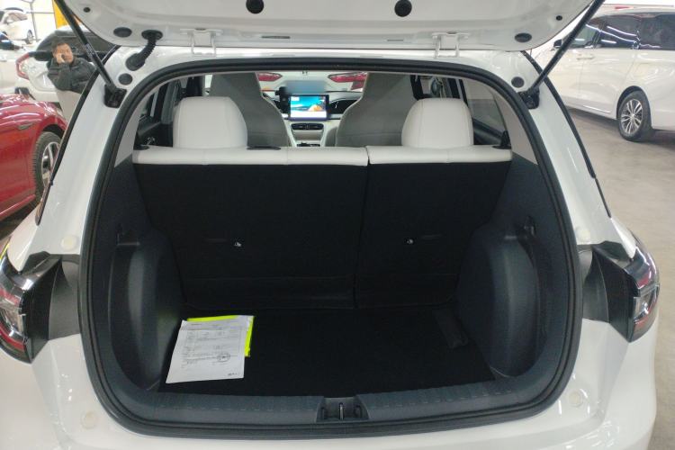 Used  Geome 2025 310km Youth Edition