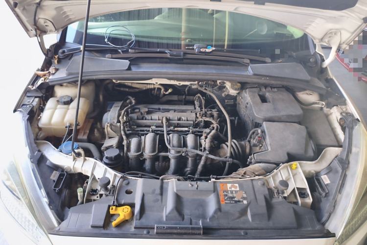 Used Ford Focus 2017 Hatchback 1.6L Automatic Comfort Plus SmartDrive Edition