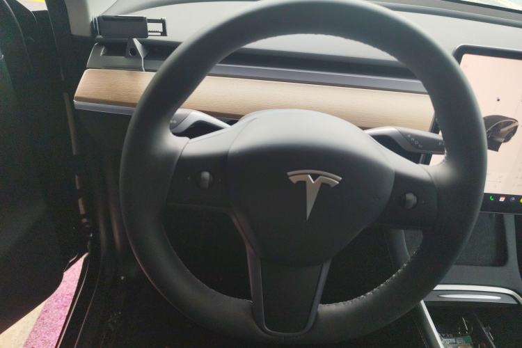 Used Tesla Model Y 2021 Standard Range Rear-Wheel Drive Version