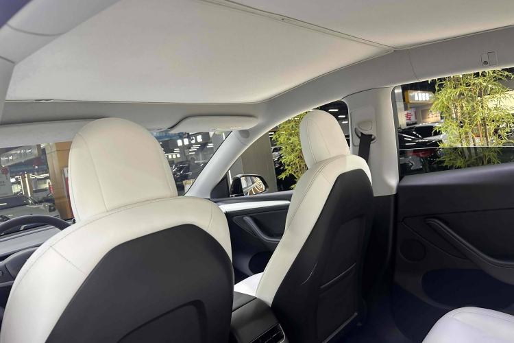 Used Tesla Model Y 2021 Standard Range Rear-Wheel Drive Version
