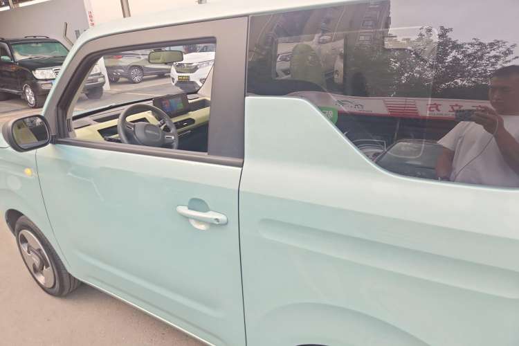 Used  Panda 2023 Panda Mini 200km Dynamic Bear
